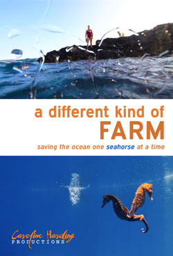 Poster for the movie, A Different Kind of Farm.