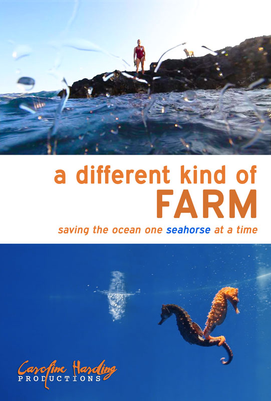 Poster for the movie, A Different Kind of Farm.